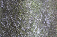 Burntwood Pentre fibreglass roof work